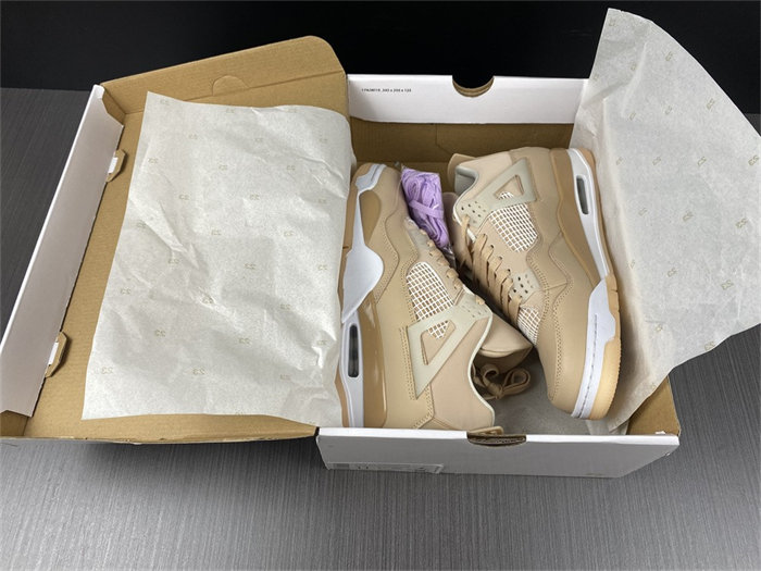 Jordan 4 Retro Shimmer DJ0675-200