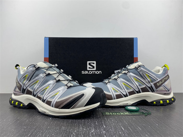 Salomon XT-6 412322