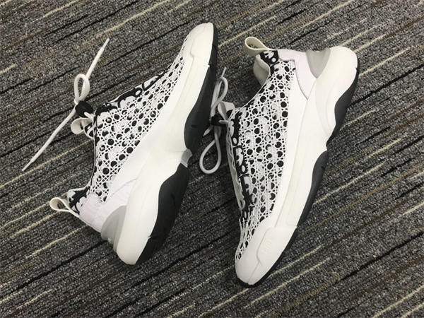 Dior Sneaker 003