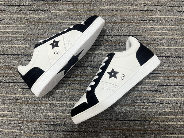 Dior Sneaker 033