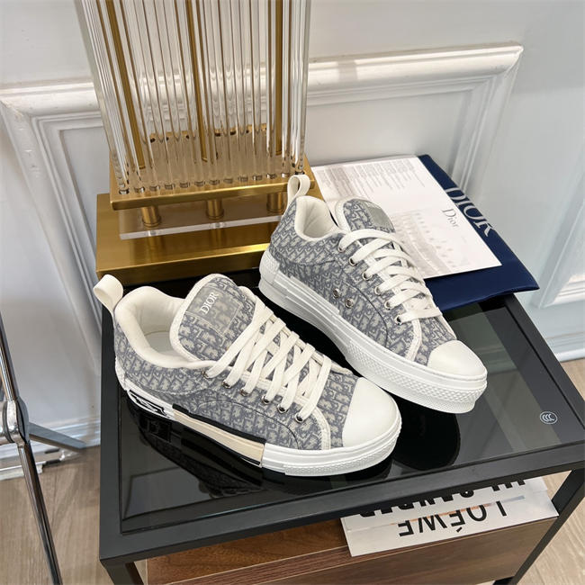 Dior B23 Low Top