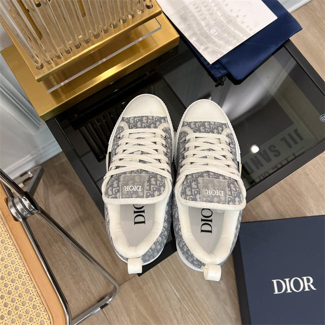 Dior B23 Low Top