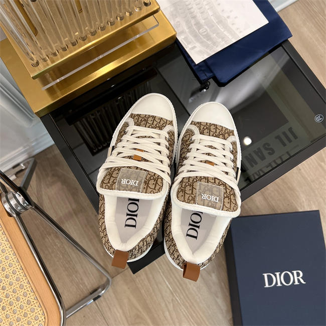 Dior B23 Low Top