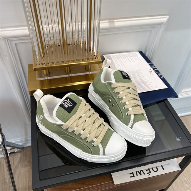 Dior B23 Low Top