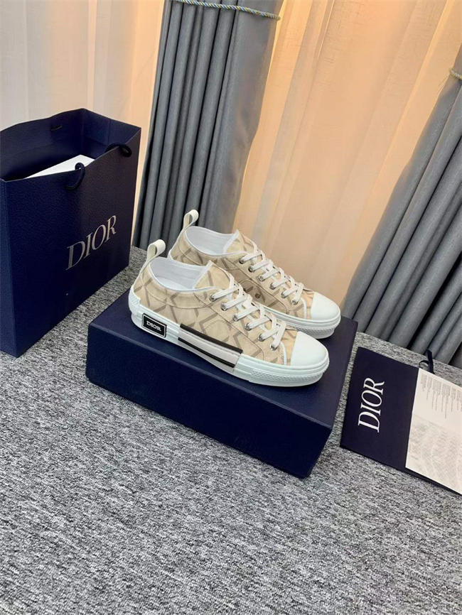 Dior B23 Low Top
