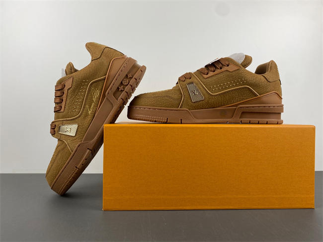 Louis Vuitton LV trainer  x2 110