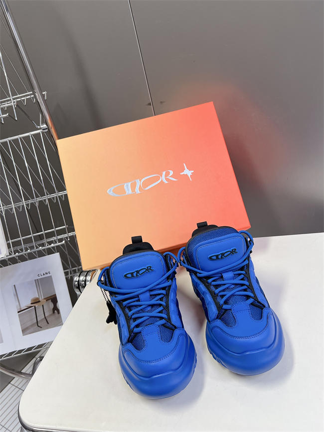 Dior B30 Sneaker D1503