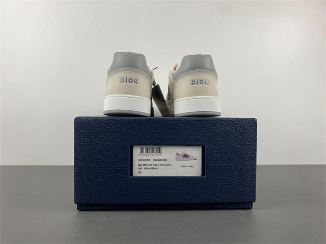 DIOR B27 Low